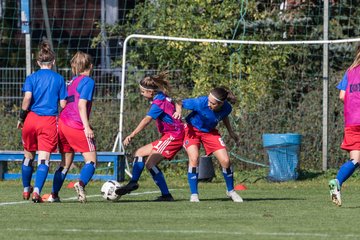 Bild 50 - wBJ HSV - SV Meppen : Ergebnis: 0:2